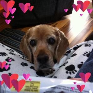 Meet your Posher, Kim